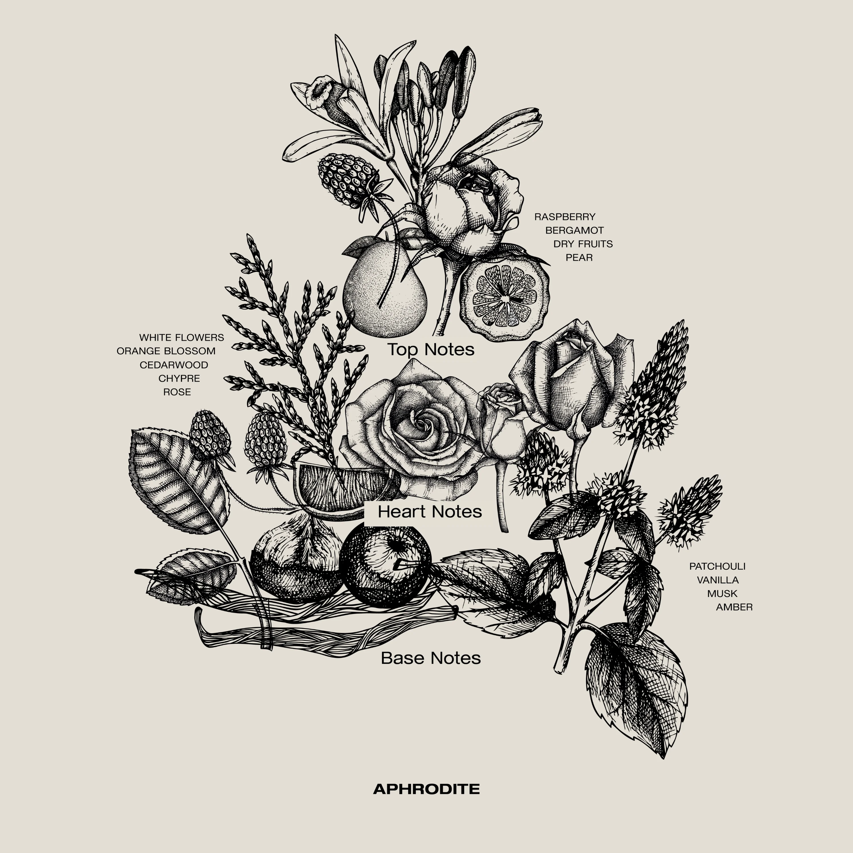APHRODITE INTERIOR PERFUME - Image 4