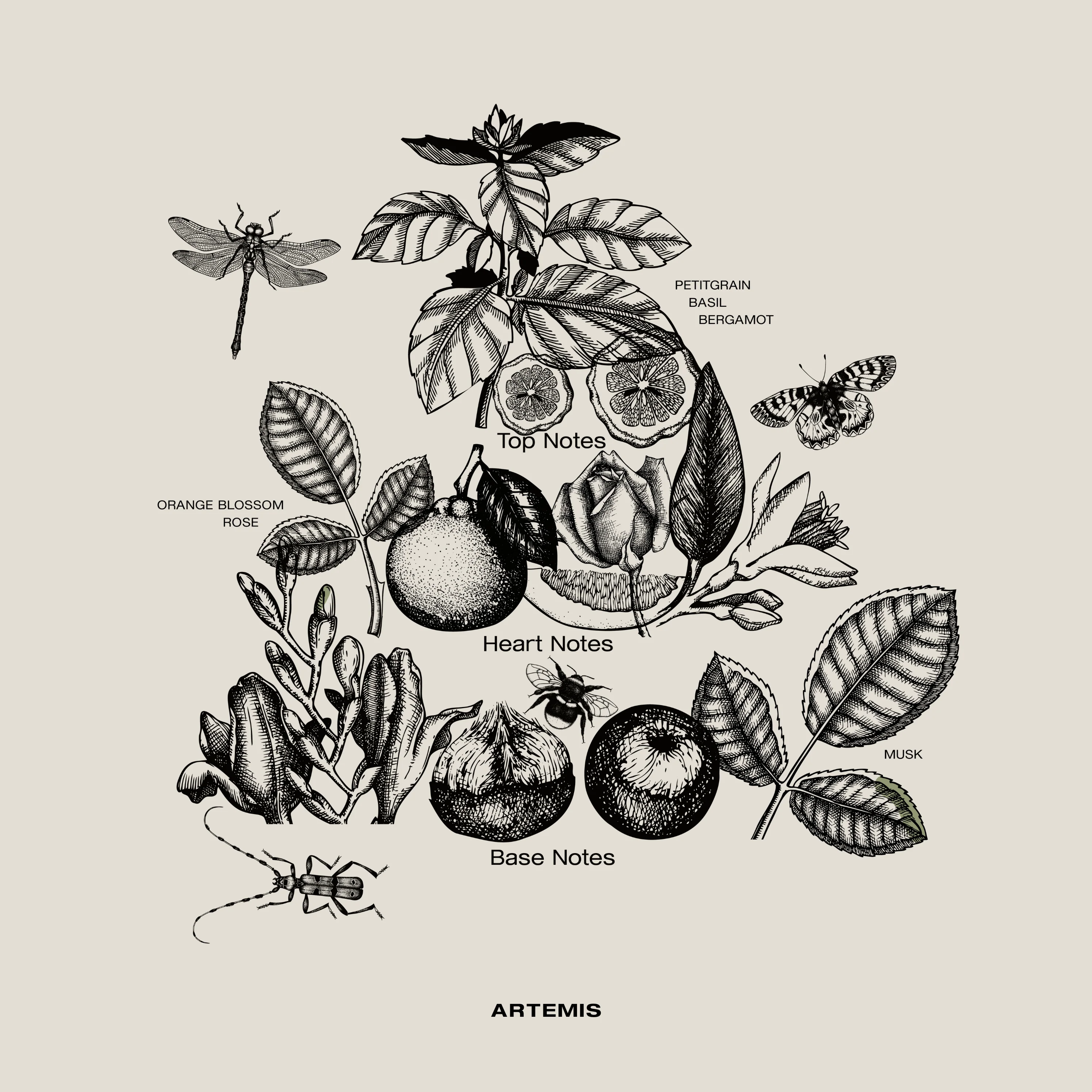 ARTEMIS PERFUMED REEDS - Image 4