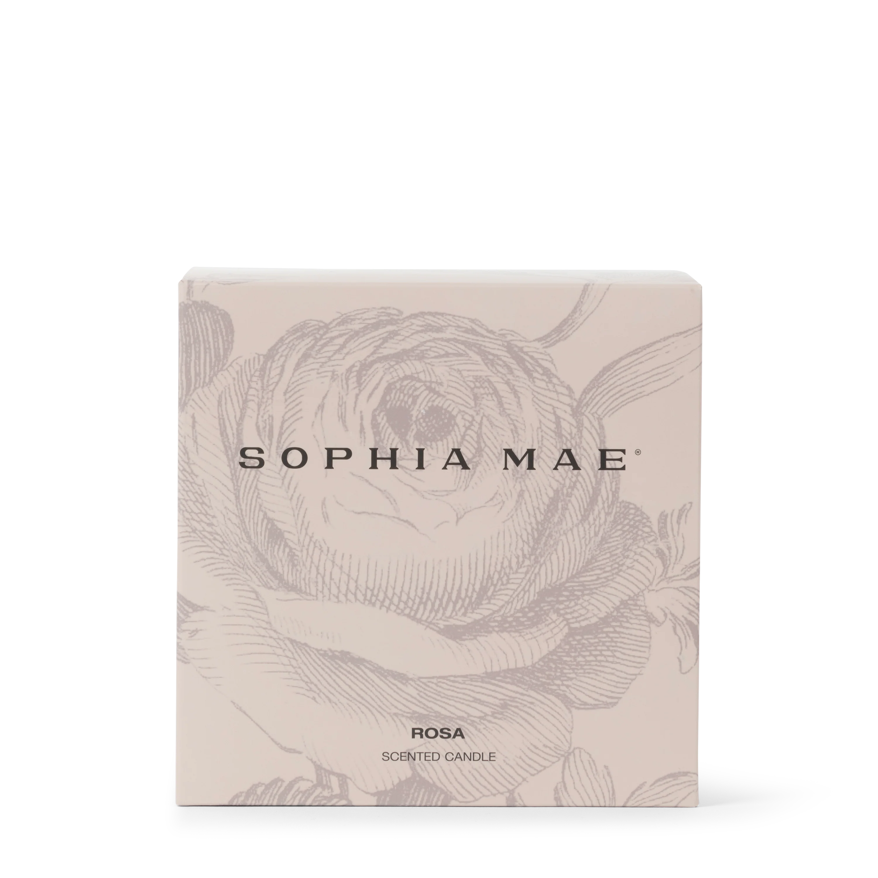 ROSA - Image 4