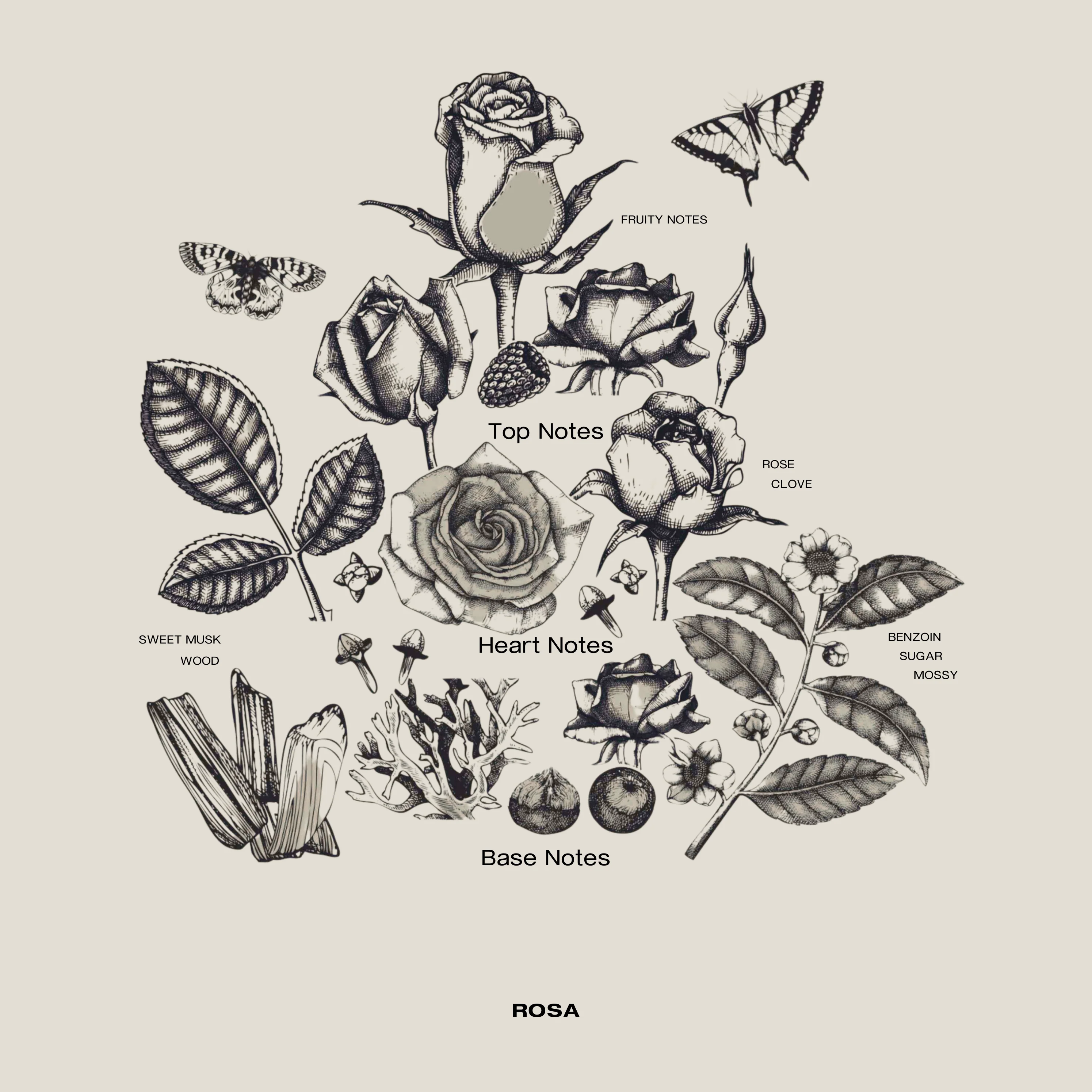ROSA - Image 8